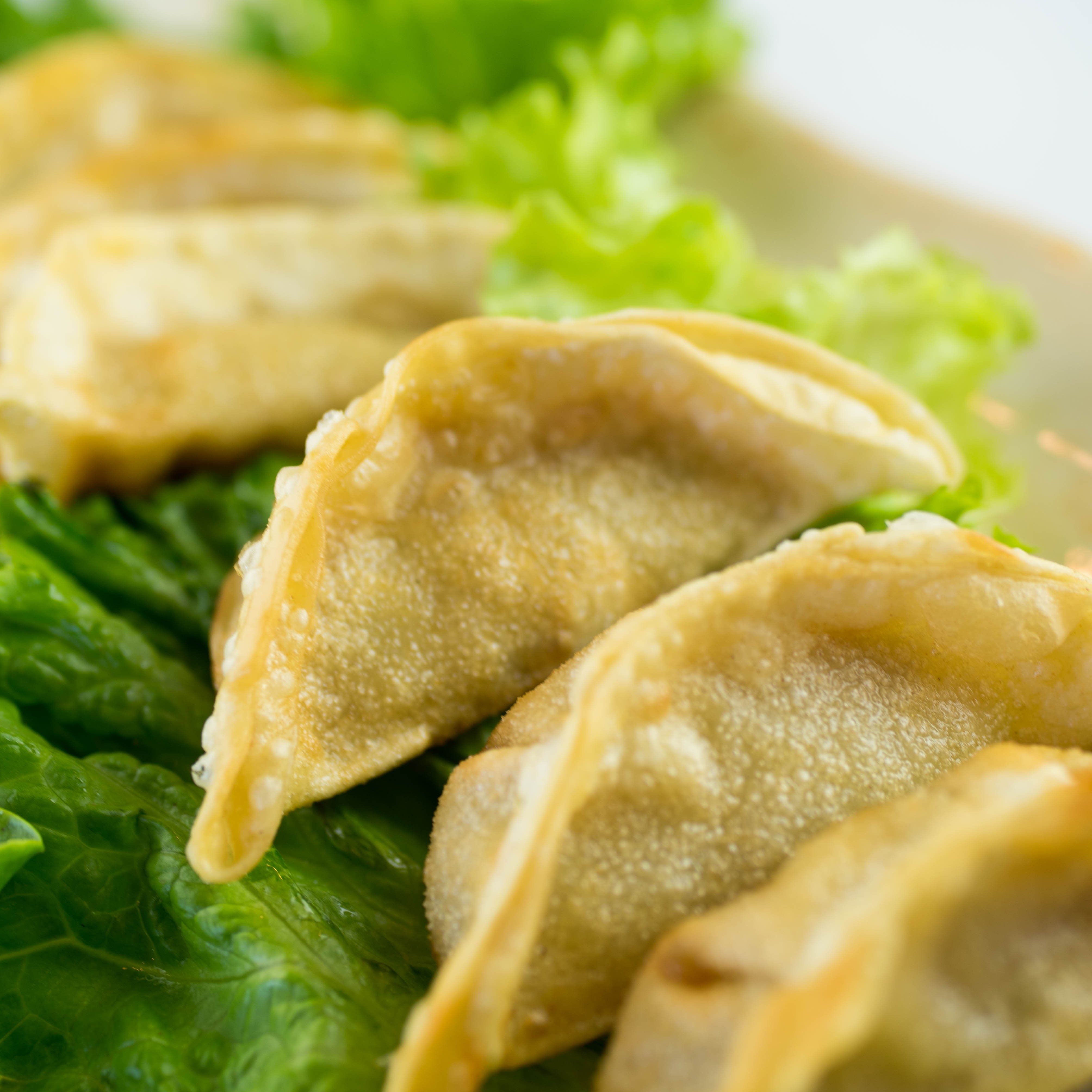 A12. Fried Chicken Dumplings (Potstickers) (6).
