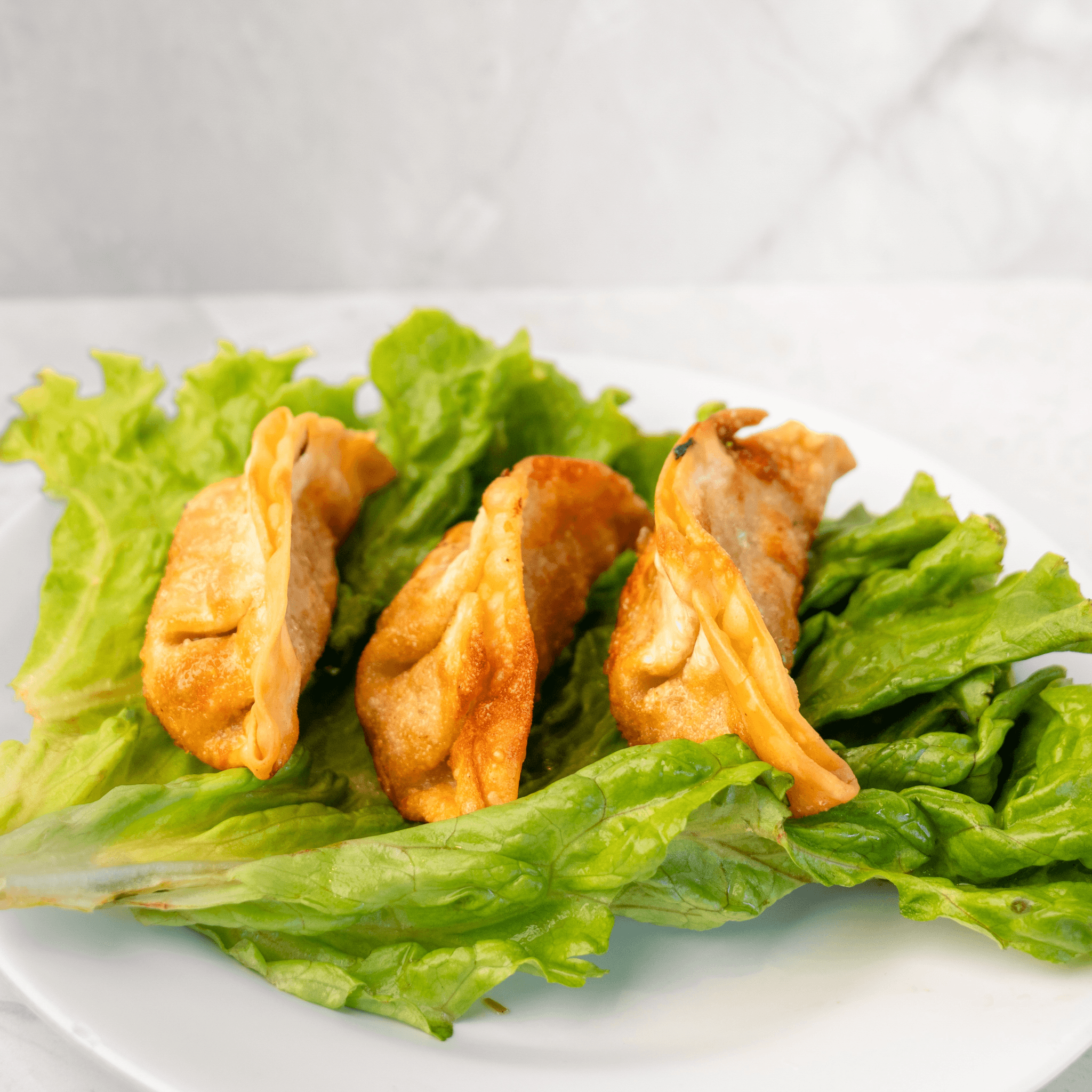Fried Dumplings (3).